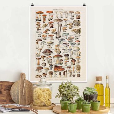 Poster - Vintage Board Mushrooms