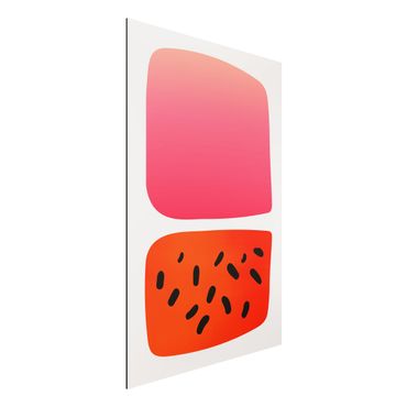 Alu-Dibond print - Abstract Shapes - Melon And Pink