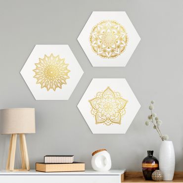 Alu-Dibond hexagon - Mandala Flower Sun Illustration Set Gold