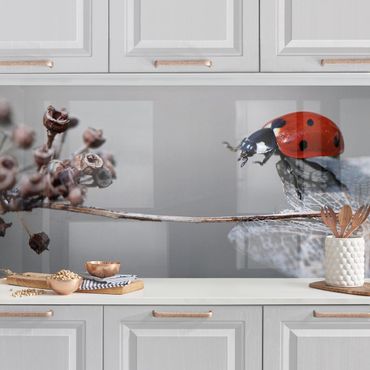 Kitchen wall cladding - Ladybird On Hydrangea