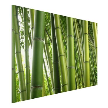Print on aluminium - Bamboo Trees No.1