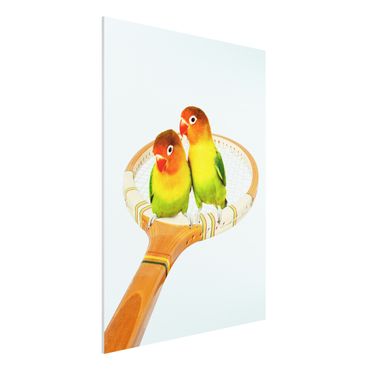 Print on forex - Tennis With Birds