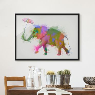 Framed poster - Rainbow Splash Elephant