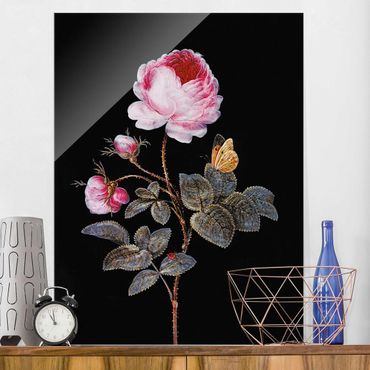 Glass print - Barbara Regina Dietzsch - The Hundred-Petalled Rose