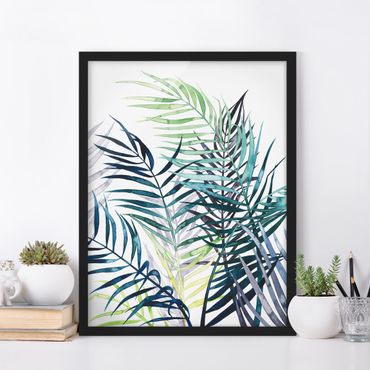 Framed poster - Exotic Foliage - Palme