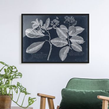 Framed poster - Foliage Dark Blue - Kordie Department