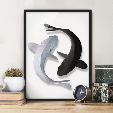 Framed poster - Fish Ying Yang