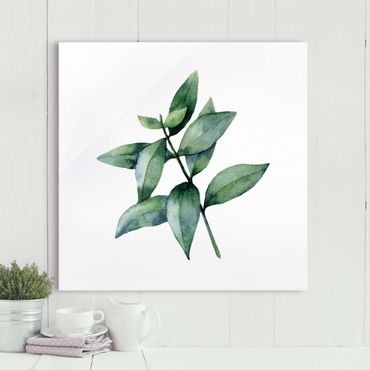 Glass print - Waterclolour Eucalyptus lll