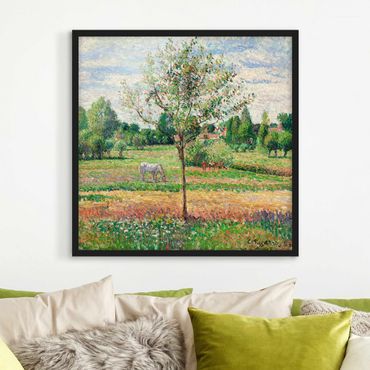 Framed poster - Camille Pissarro - Meadow with Grey Horse, Eragny