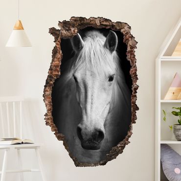 Wall sticker - Dream of a horse