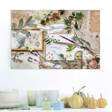 Glass print - Flowers And Garden Herbs Vintage