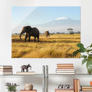 Glass print - Elephants In Front Of The Kilimanjaro In Kenya