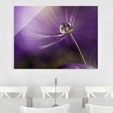Glass print - Dandelion In Violet