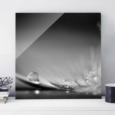 Glass print - Story of a Waterdrop Black White