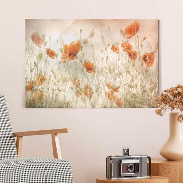 Glass print - Poppy Flowers And Grasses In A Field