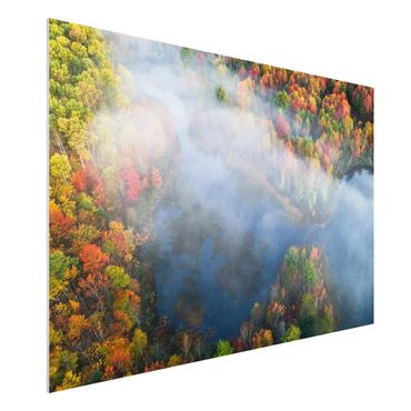 Forex print - Aerial View - Autumn Symphony
