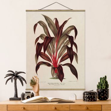 Fabric print with poster hangers - Botany Vintage Illustration Of Dragon Tree