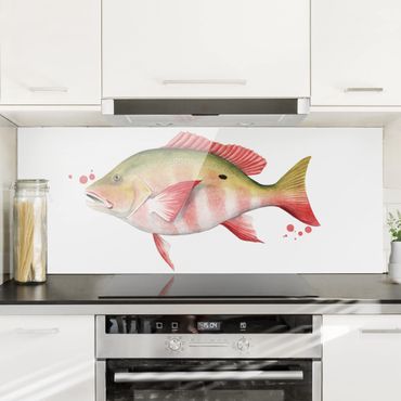 Glass Splashback - Ink Trap - Northern Red Snapper - Panoramic