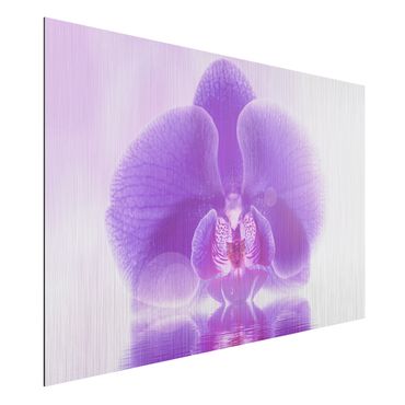 Print on aluminium - Purple Orchid On Water