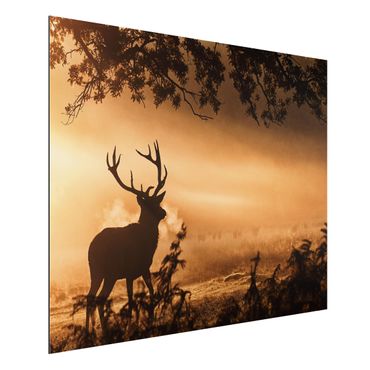 Print on aluminium - Deer In The Winter Forest