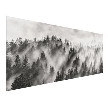 Print on aluminium - Light Rays In The Coniferous Forest