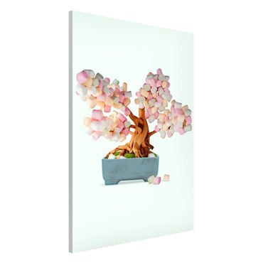 Magnetic memo board - Bonsai With Marshmallows