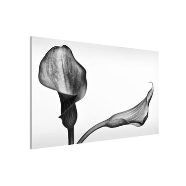 Magnetic memo board - Calla Close-Up Black And White