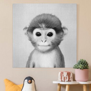 Canvas print - Baby Monkey Anton Black And White - Square 1:1