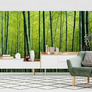 Wallpaper - Bamboo Forest