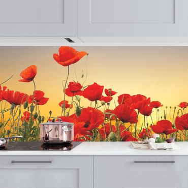 Kitchen wall cladding - Poppy Field In Sunset