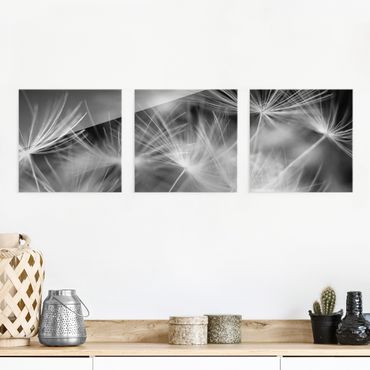 Glass print - Moving Dandelions Close Up On Black Background - 3 parts