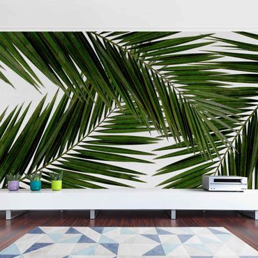 Walpaper - View Through Green Palm Leaves