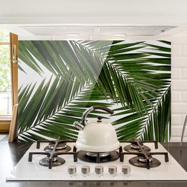 Splashback - View Through Green Palm Leaves - Landscape format 3:2