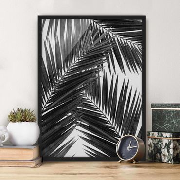 Framed poster - View Through Palm Leaves Black And White
