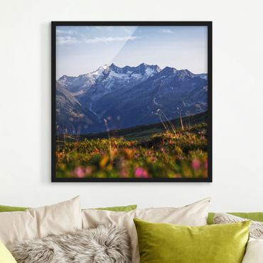 Framed poster - Flowering Meadow In The Mountains