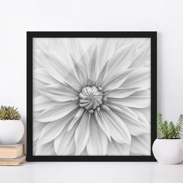 Framed poster - Botanical Blossom In White