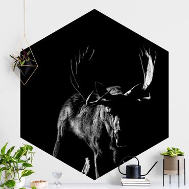 Self-adhesive hexagonal pattern wallpaper - Bull In The Dark