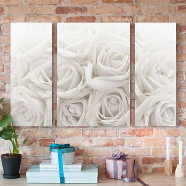 Print on canvas 3 parts - White Roses