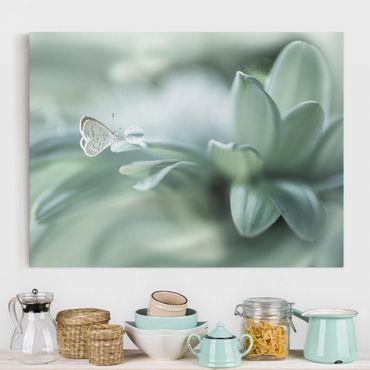 Print on canvas - Butterfly And Dew Drops In Pastel Green