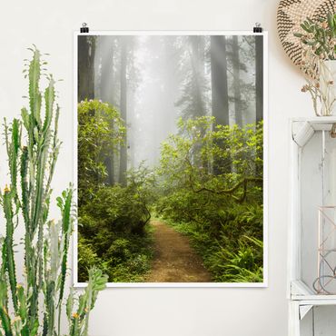 Poster - Misty Forest Path