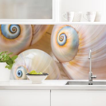 Kitchen wall cladding - Clam Trio On Wood