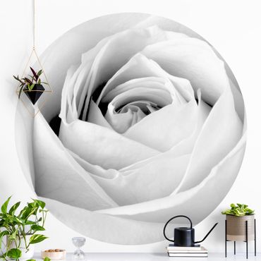 Self-adhesive round wallpaper - Close Up Rose