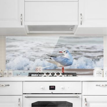 Glass Splashback - Seagull On The Beach In Front Of The Sea - Panoramic