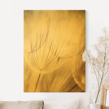 Canvas print gold - Dandelions Close-Up In Cozy Sepia Tones
