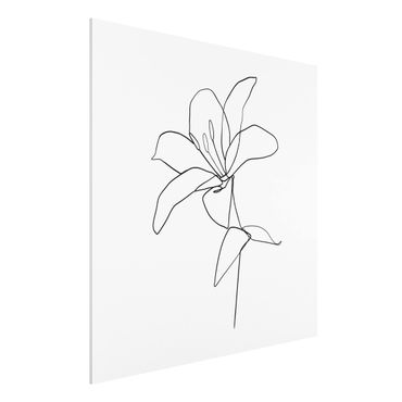 Print on forex - Line Art Flower Black White