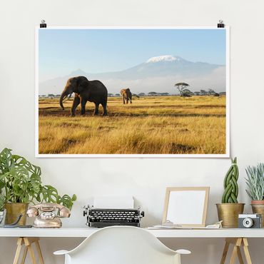 Poster - Elephants In Front Of The Kilimanjaro In Kenya