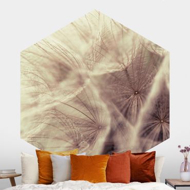 Self-adhesive hexagonal pattern wallpaper - Detailed Dandelion Macro Shot With Vintage Blur Effect