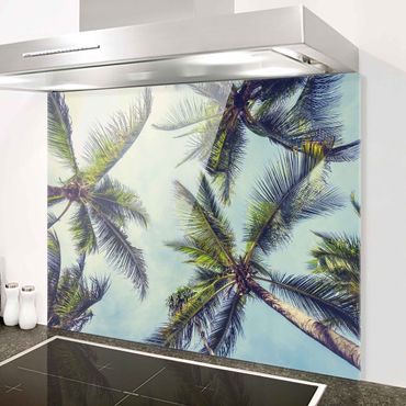 Splashback - The Palm Trees - Landscape format 4:3