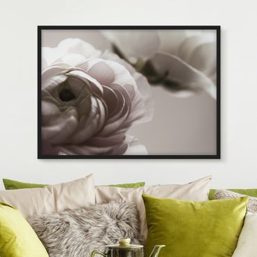 Framed poster - Focus On Dark Flower