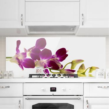Glass Splashback - Pink Orchid Waters - Panoramic